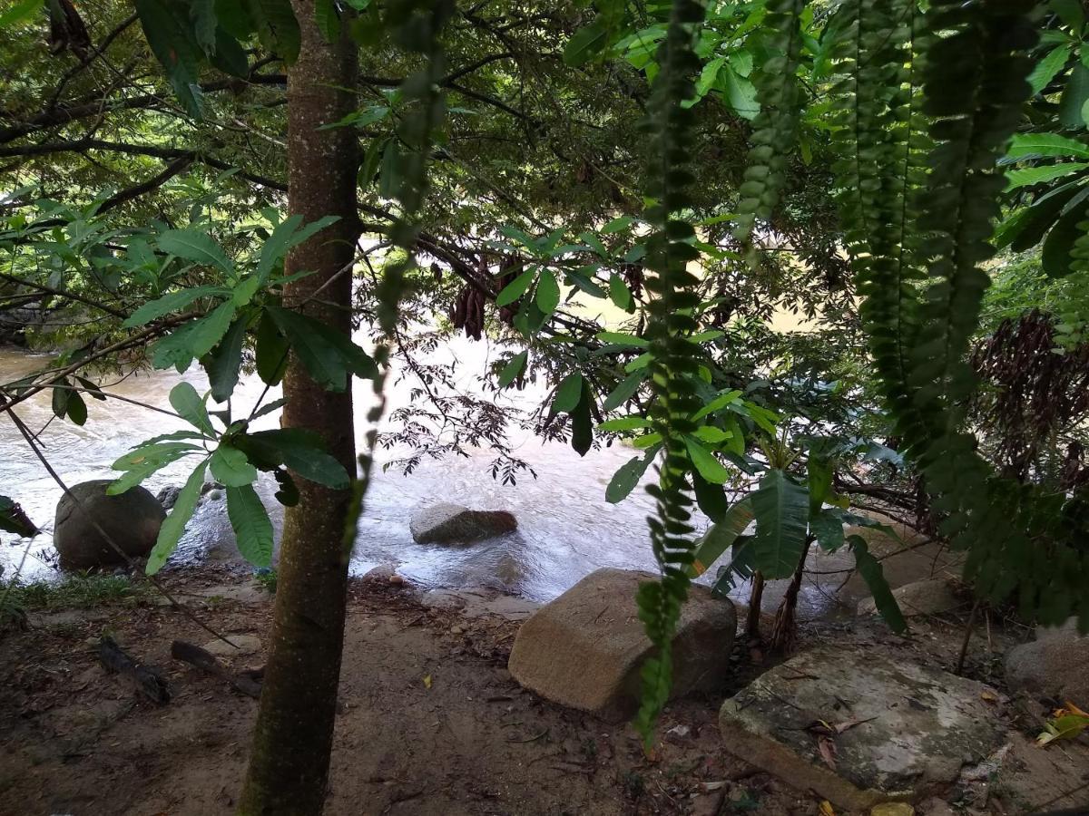 فيلا Casa Kumake Tayrona الزينو المظهر الخارجي الصورة