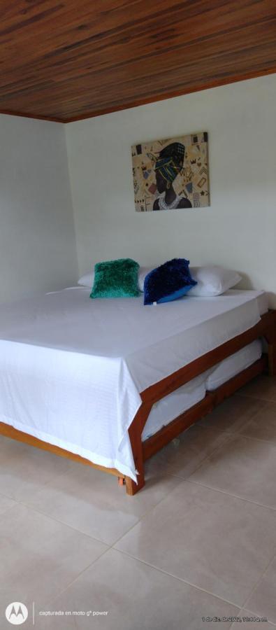 فيلا Casa Kumake Tayrona الزينو المظهر الخارجي الصورة