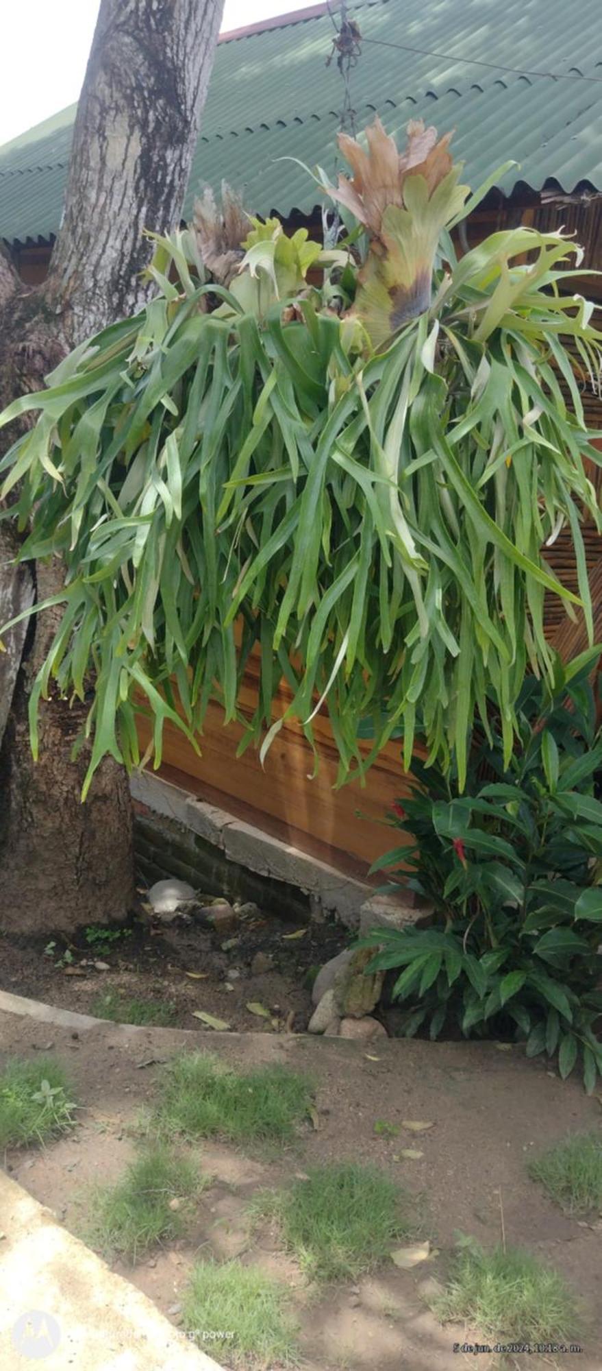 فيلا Casa Kumake Tayrona الزينو المظهر الخارجي الصورة
