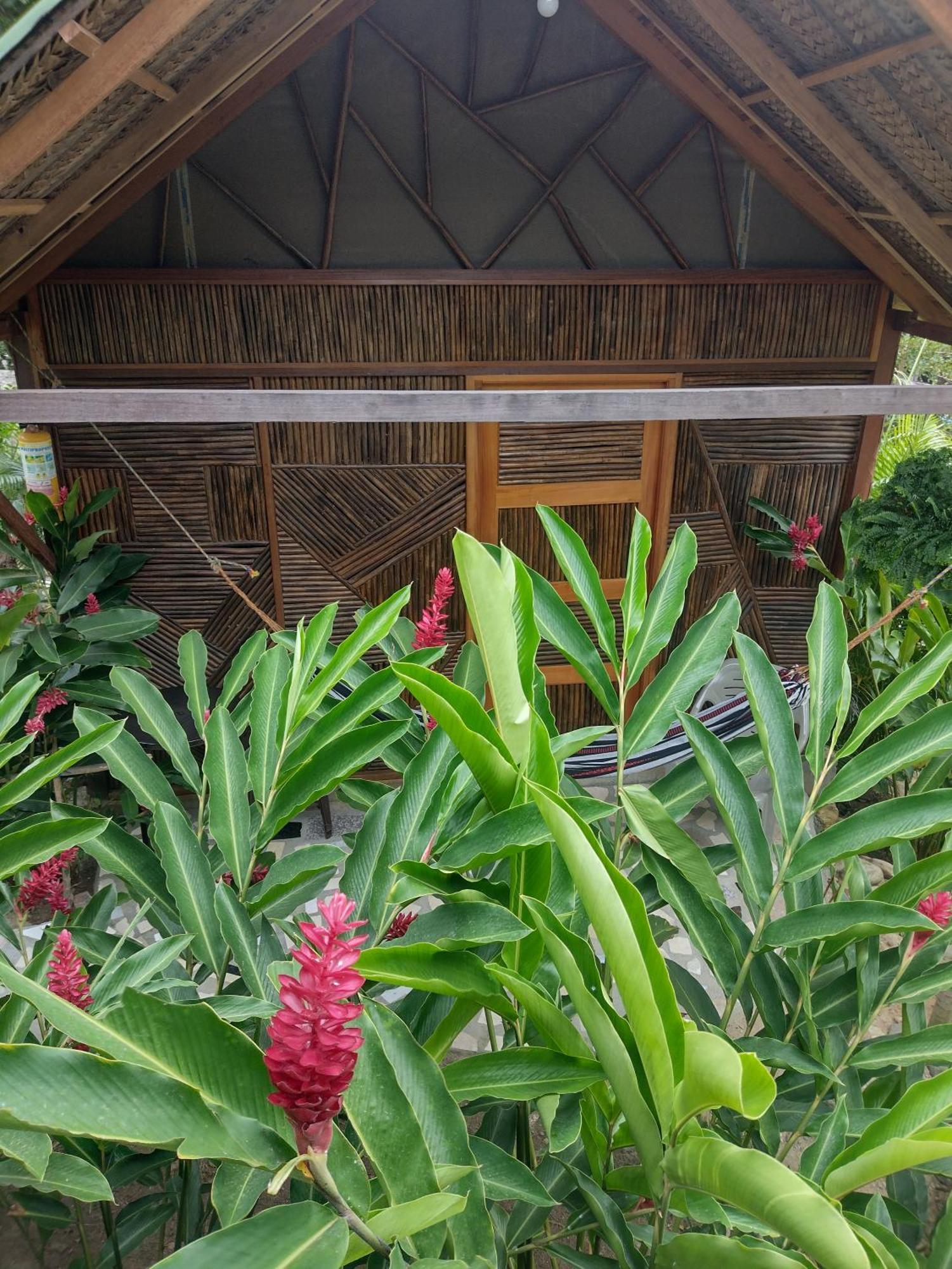 فيلا Casa Kumake Tayrona الزينو المظهر الخارجي الصورة