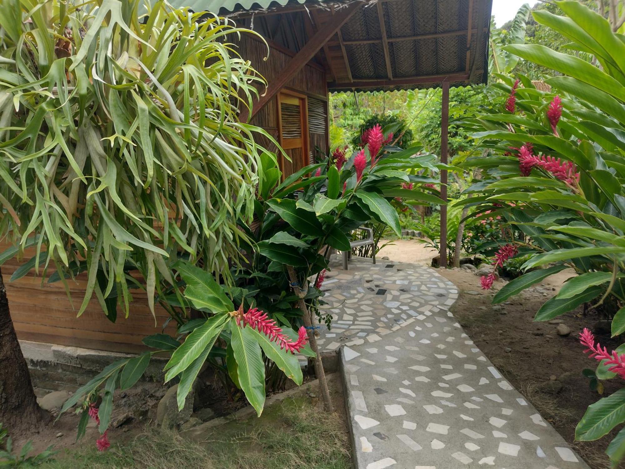 فيلا Casa Kumake Tayrona الزينو المظهر الخارجي الصورة