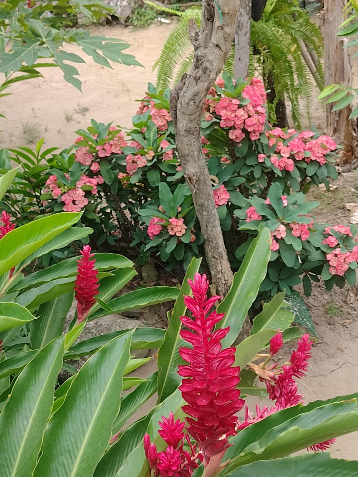 فيلا Casa Kumake Tayrona الزينو المظهر الخارجي الصورة