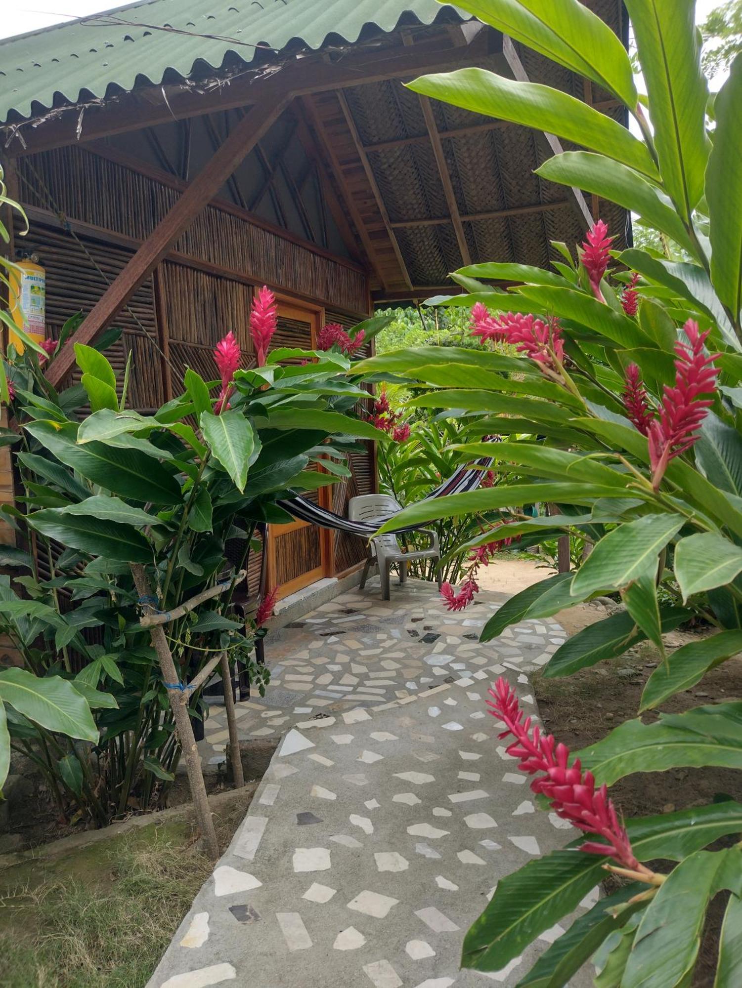 فيلا Casa Kumake Tayrona الزينو المظهر الخارجي الصورة