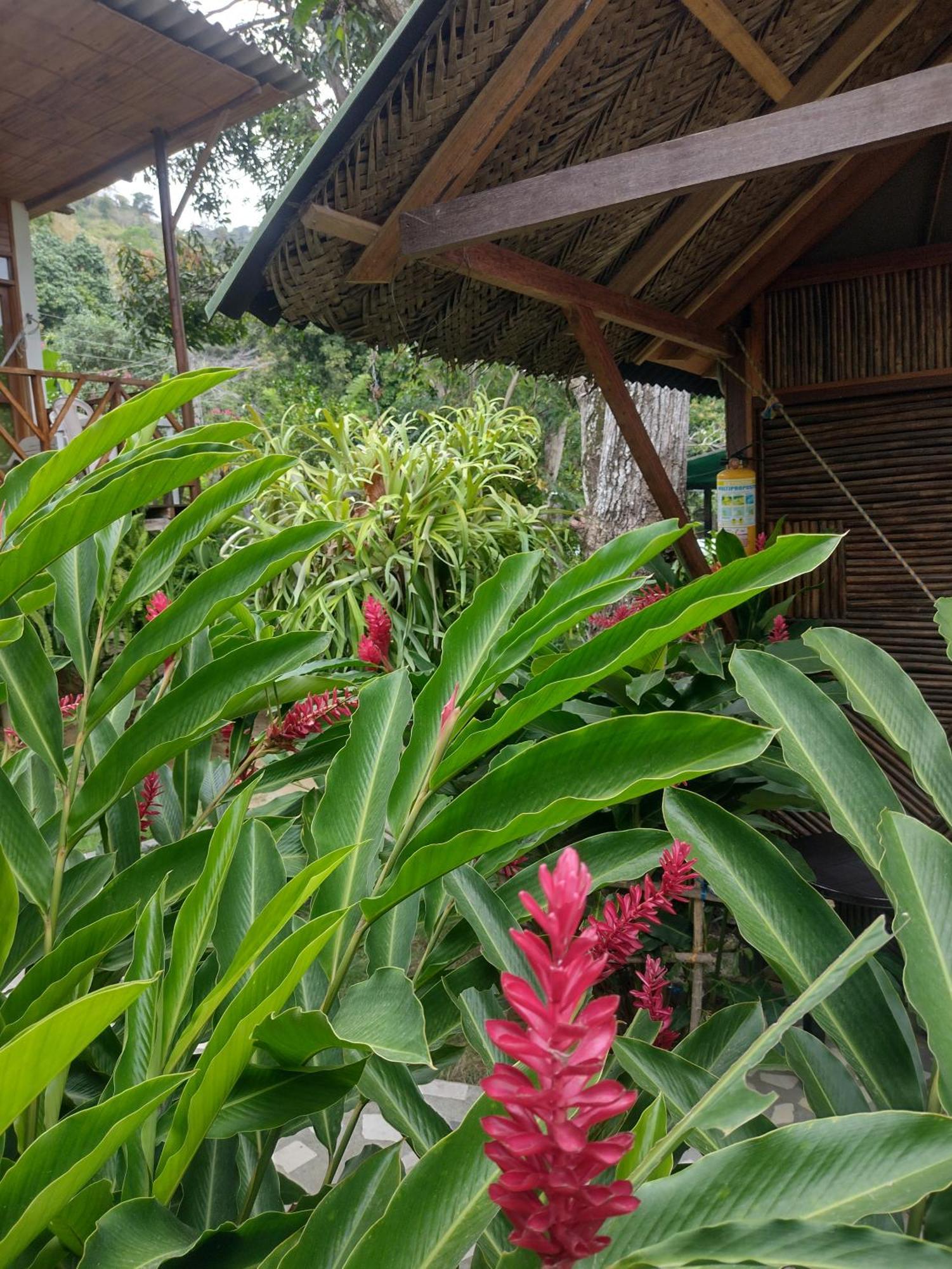فيلا Casa Kumake Tayrona الزينو المظهر الخارجي الصورة