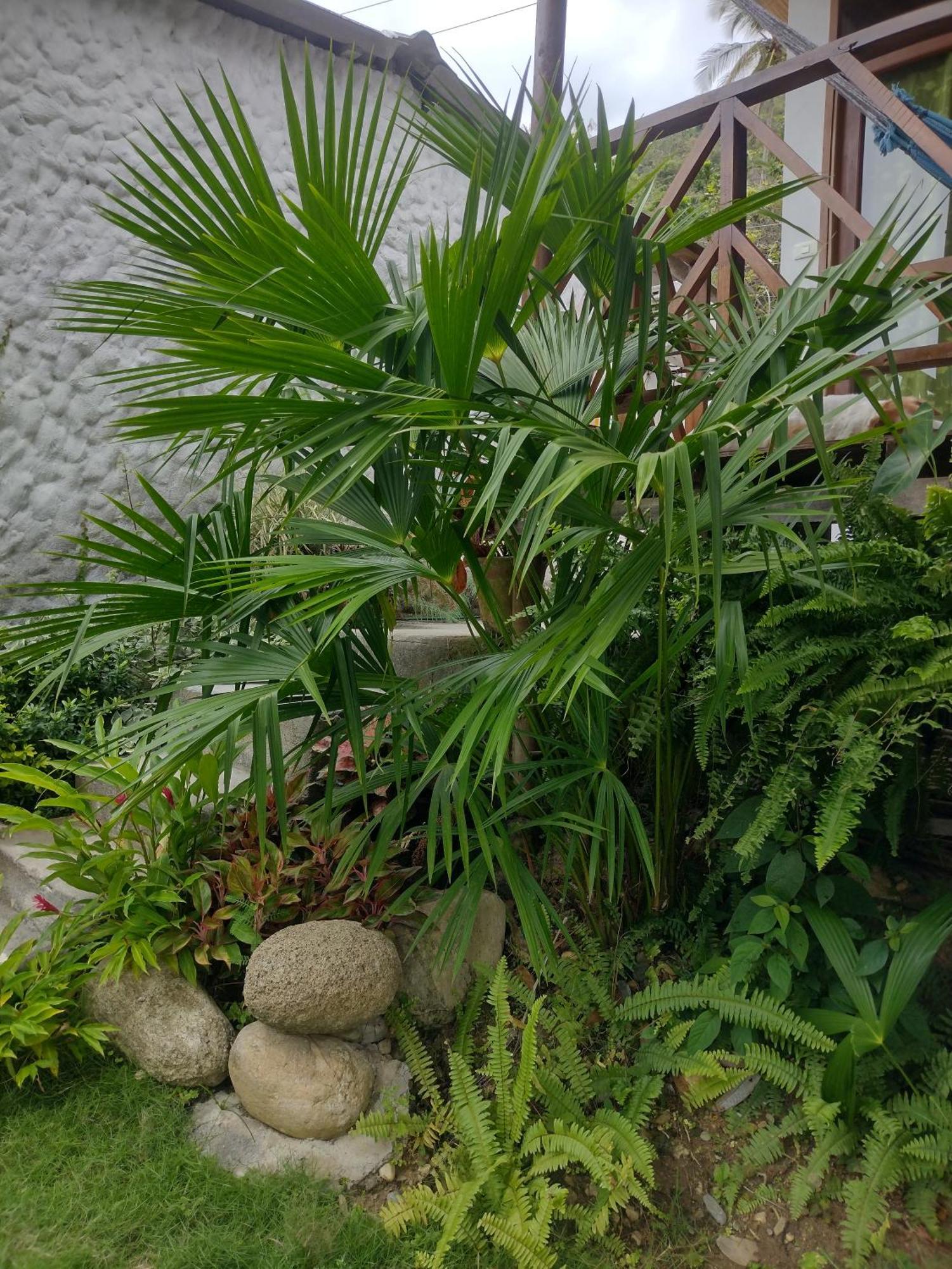 فيلا Casa Kumake Tayrona الزينو المظهر الخارجي الصورة